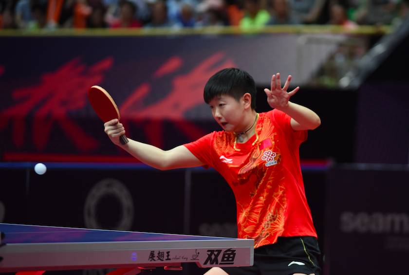 展的根基 展的根基