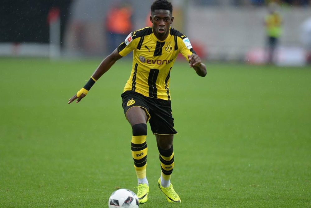 深耕细作结 深耕细作结