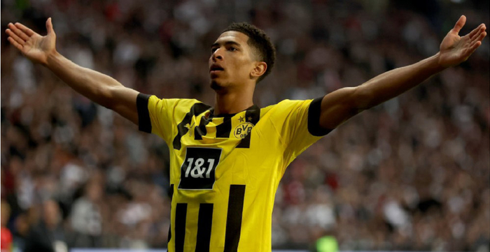 TP庭审可 TP庭审可